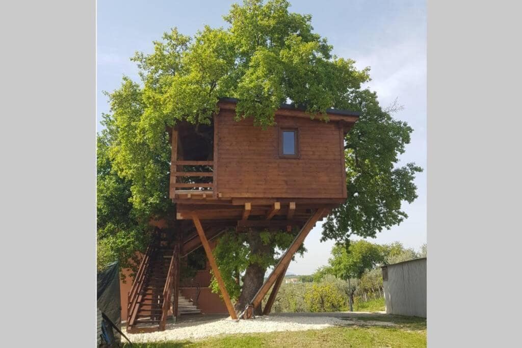 TREEHOUSE ON THE TRABOCCHI COAST — foto 1