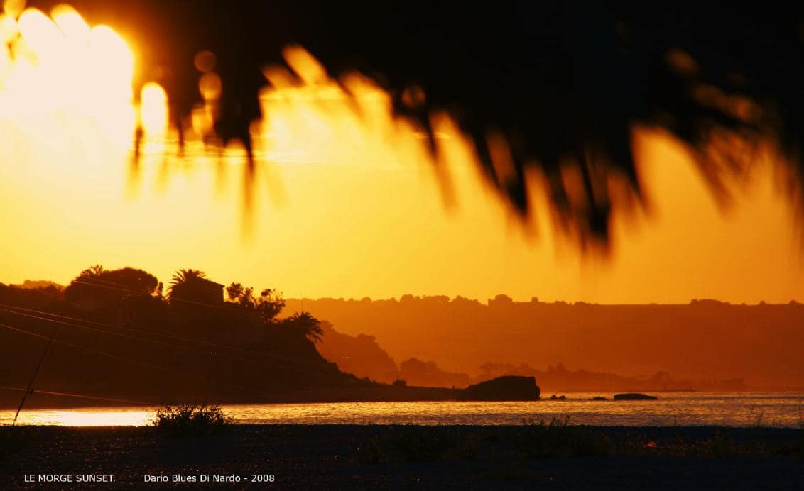 Green Coast — foto 1