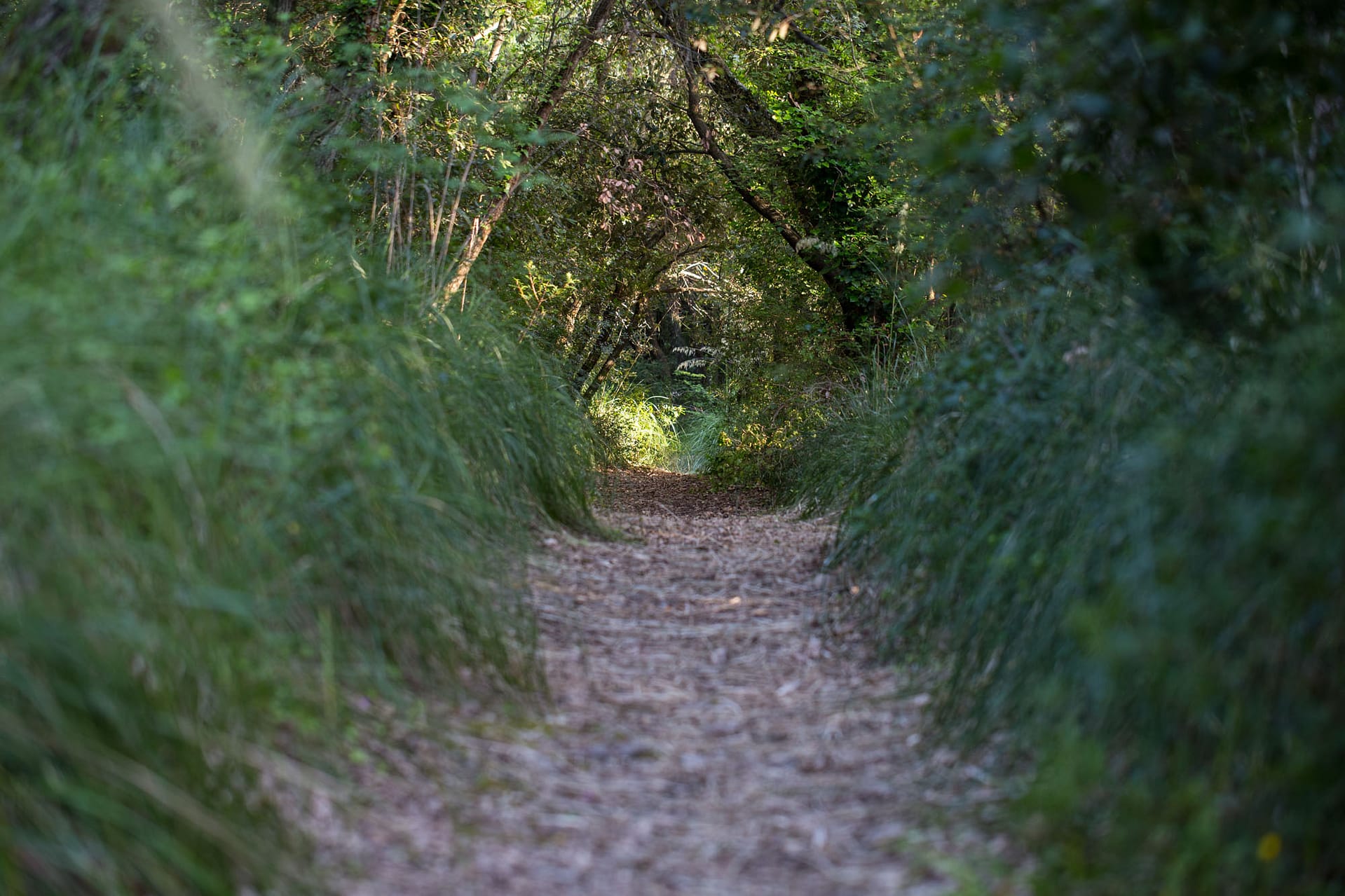 Lecceta birdwatching hide